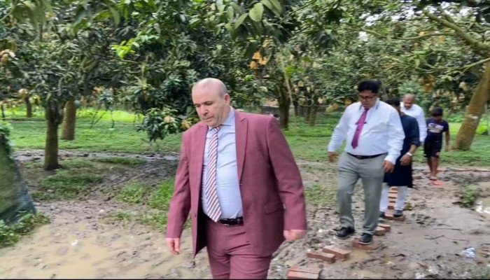 আলজেরিয়ায় আমচাষে আগ্রহ, বাংলাদেশি কৃষকদের জন্য জমি-সুবিধা দেবে দেশটি আলজেরিয়ায় আমচাষে আগ্রহ, বাংলাদেশি কৃষকদের জন্য জমি-সুবিধা দেবে দেশটি