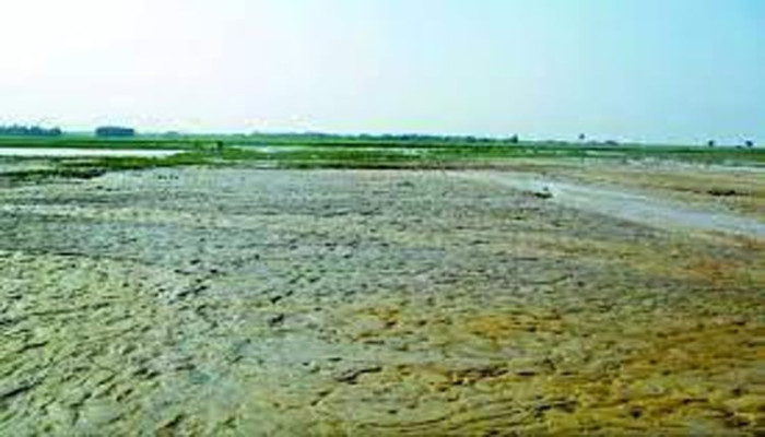 সুনামগঞ্জের হাওরে পানি সংকট, বিপর্যস্ত কৃষি ও মাছের উৎপাদন