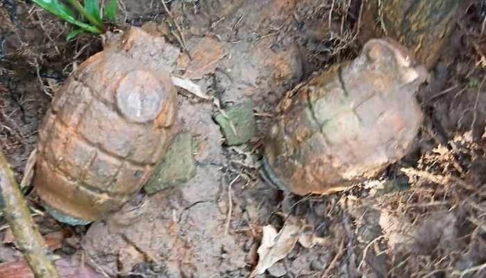 ফেনীর ফুলগাজীতে গাছের গোড়ায় অবিস্ফোরিত দুটি গ্রেনেড উদ্ধার ফেনীর ফুলগাজীতে গাছের গোড়ায় অবিস্ফোরিত দুটি গ্রেনেড উদ্ধার