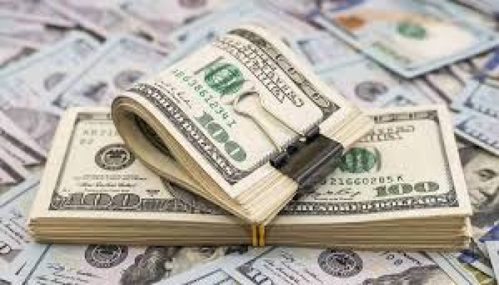 দেশের বৈদেশিক মুদ্রার রিজার্ভ বেড়ে ৩০.৬৫ বিলিয়ন ডলার