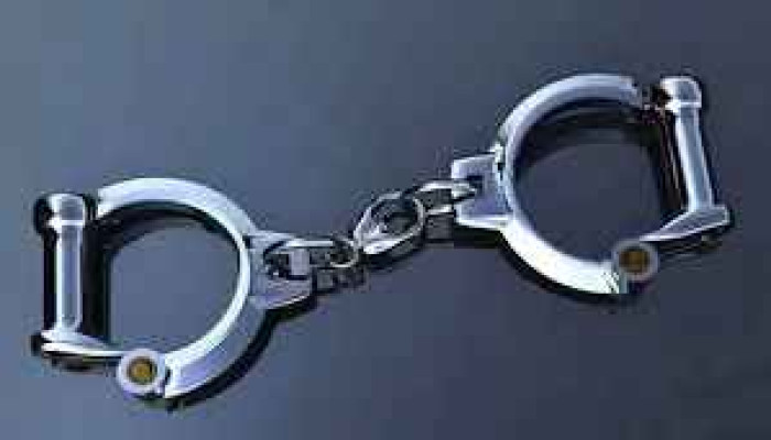 শ্যামলীতে আওয়ামী লীগের মিছিলে ককটেল বিস্ফোরণ, পুলিশি অভিযানে আটক ৬