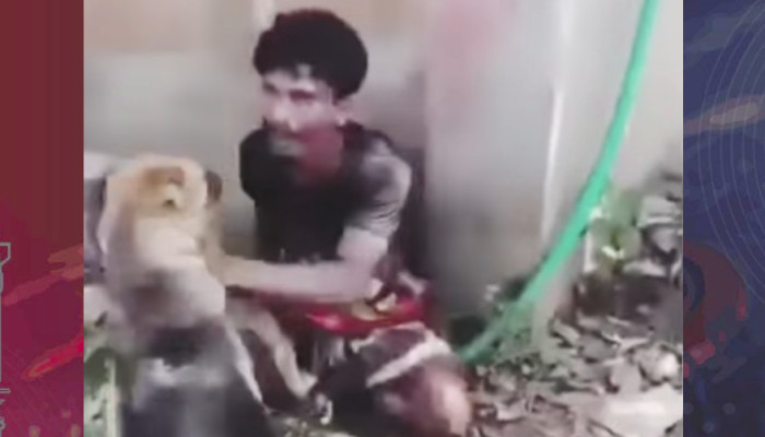 কুমিল্লায় চুরির অভিযোগে যুবকের ওপর কুকুর লেলিয়ে নির্যাতন, র‍্যাবের অভিযানে আটক ৩