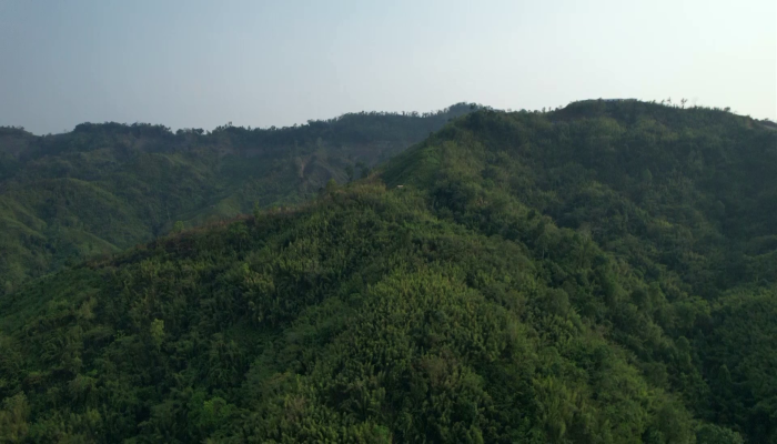 পার্বত্য চট্টগ্রামে বাড়ছে অস্ত্র পাচার: সীমান্ত রুটে সক্রিয় আন্তঃদেশীয় চক্র