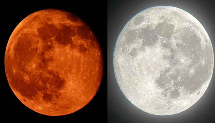 ৫ নভেম্বর আকাশে ‘বিভার সুপারমুন’: বছরের সবচেয়ে উজ্জ্বল চাঁদ দেখার সুযোগ! ৫ নভেম্বর আকাশে ‘বিভার সুপারমুন’: বছরের সবচেয়ে উজ্জ্বল চাঁদ দেখার সুযোগ!