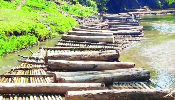 খাগড়াছড়িতে প্রায় সোয়া কোটি টাকার অবৈধ কাঠ জব্দ