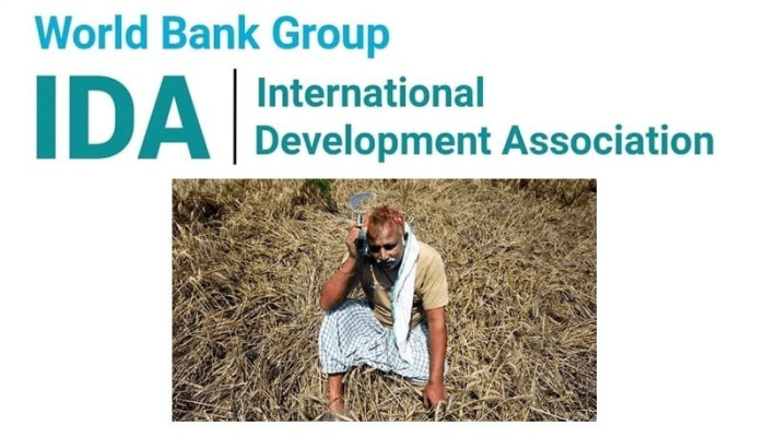 ইসরাইলি কৃষি মডেলে ভারতীয় কৃষকদের আত্মহত্যা বেড়েছে: নতুন রিপোর্টে চাঞ্চল্যকর তথ্য