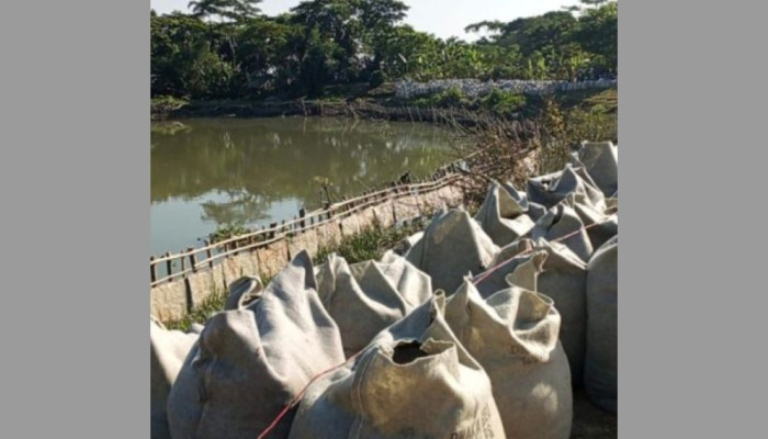 বরগুনায় বন্যা নিয়ন্ত্রণ বাঁধ নির্মাণে ব্যাপক অনিয়ম, কাজ বন্ধ করল পাউবো