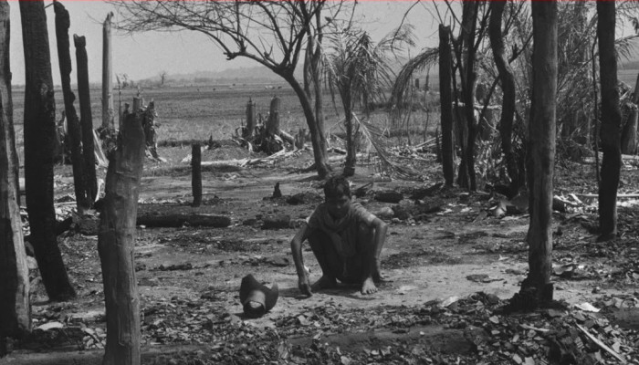 ৪২ বছর পর আসাম সহিংসতার রিপোর্ট প্রকাশ, নেলি গণহত্যাসহ তথ্যসমূহ অন্তর্ভুক্ত