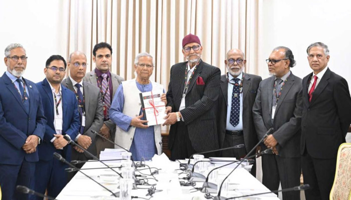 বিডিআর হত্যাকাণ্ডে বহিঃশক্তি ও ক্ষমতাসীন দলের সরাসরি সম্পৃক্ততার ‘শক্তিশালী প্রমাণ’: স্বাধীন তদন্ত কমিশন প্রতিবেদন জমা