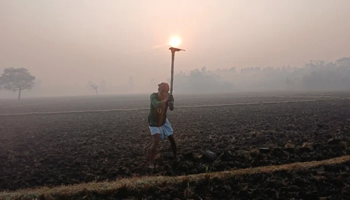 তেঁতুলিয়ায় দুদিন ধরে তাপমাত্রা ১২ ডিগ্রির ঘরে