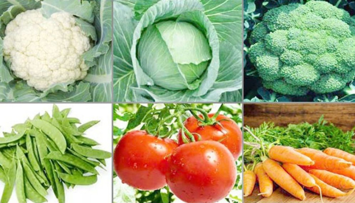 শীতের যেসব সবজি রোগ প্রতিরোধ ক্ষমতা বাড়াবে