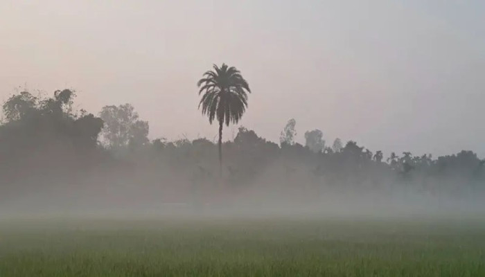 শীতে দেশে আসছে একাধিক তীব্র শৈত্যপ্রবাহ ও ঘন কুয়াশা﻿