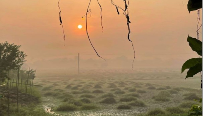 শীতার্তদের পাশে দাঁড়ানো : আল্লাহর সন্তুষ্টি অর্জন