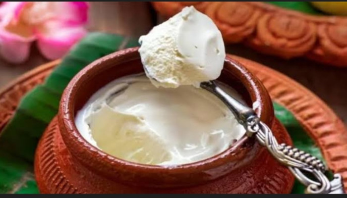 আপনার খাদ্য তালিকায় রাখতে পারেন টক দই