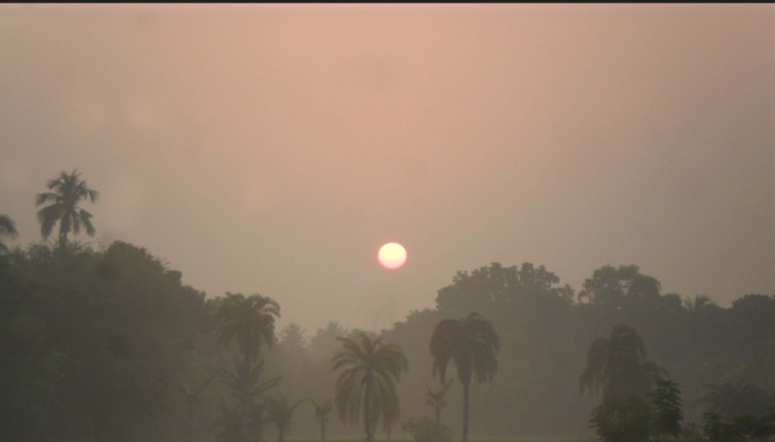 শীতকালে রাস্তায় বসবাসরত মানুষের জীবনযাপন