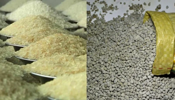 ১,৯৬৭ কোটি টাকার ১০ প্রস্তাব অনুমোদন: এলএনজি, সার ও চাল আমদানিতে সায়, সামষ্টিক অর্থনীতি সন্তোষজনক