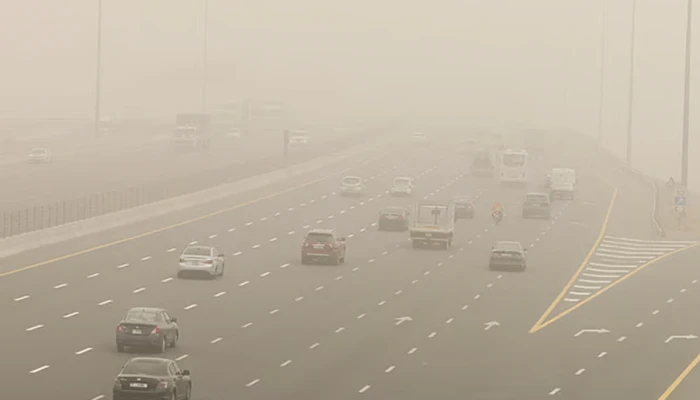 ভয়াবহ ধূলিঝড়ে বিপর্যস্ত দুবাইসহ আমিরাত, ফ্লাইট ও যান চলাচলে ব্যাঘাত