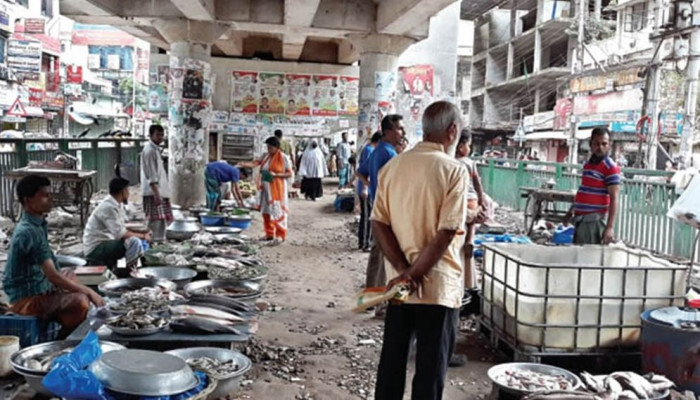 মধ্যস্বত্বভোগীর কারসাজিতে মাছের দাম উর্ধ্বগতি, গরিবের পাতে আর উঠছে না আমিষ