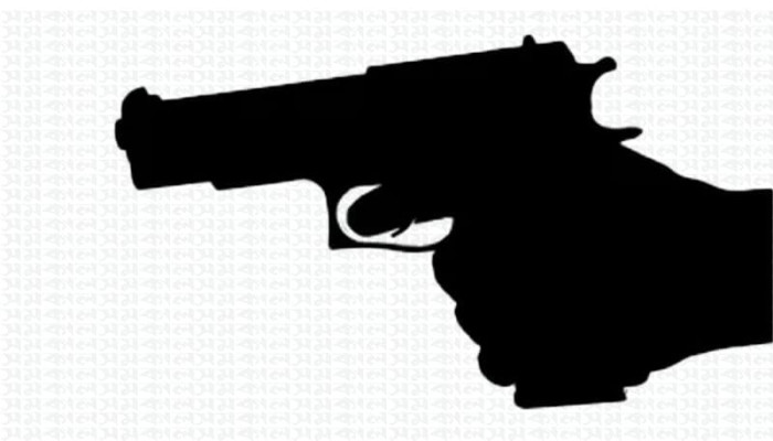 নারায়ণগঞ্জে দুই বন্ধুকে লক্ষ্য করে সন্ত্রাসীদের গুলি, অল্পের জন্য রক্ষা পেলেও বিদ্ধ হলো কুকুর