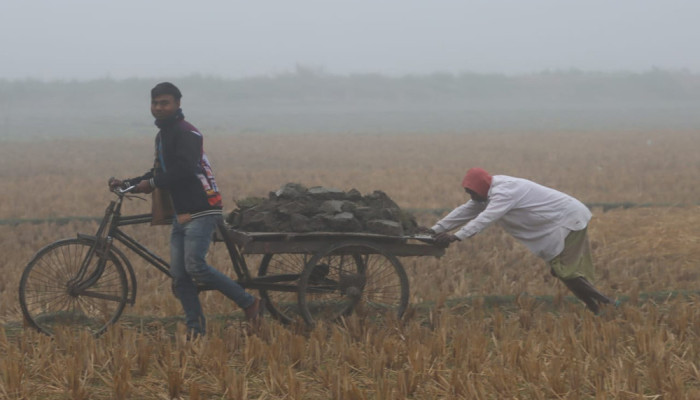 শৈত্যপ্রবাহ ও ঘন কুয়াশায় বিপর্যস্ত উত্তরাঞ্চল: জনজীবনে চরম ভোগান্তি