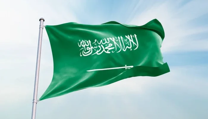 সৌদি আরবে ২০২৫-এ রেকর্ড মাত্রায় ৩৫৬ মৃত্যুদণ্ড, মাদক যুদ্ধের ফলে বিদেশিদের উপর চাপ বেড়েছে