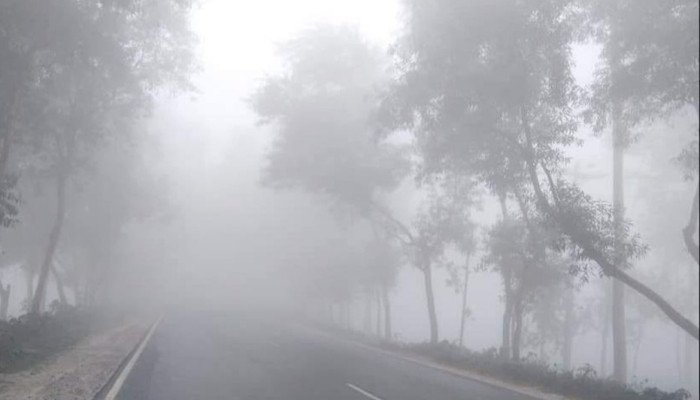 সারা দেশে তীব্র শীত, রাস্তায় থাকা অসহায় মানুষের দুর্ভোগ