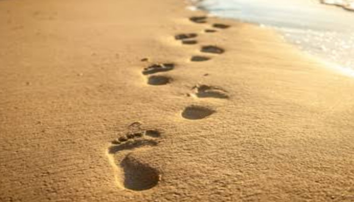 নিয়মিত হাঁটা : শরীর ও মনের জন্য স্বাস্থ্যকর অভ্যাস