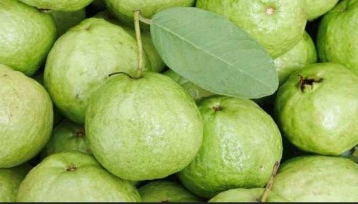 খোসাসহ পেয়ারা খাওয়ার স্বাস্থ্য উপকারিতা