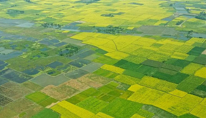 দেশের জমি ভাগ হচ্ছে ১৮ জোনে: রাষ্ট্রপতির অধ্যাদেশে নতুন ভূমি ব্যবস্থাপনা