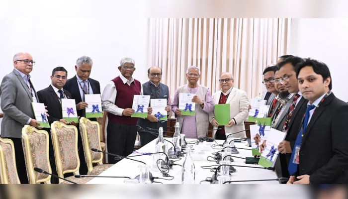 কর-জিডিপি অনুপাত ২০ শতাংশে নেওয়ার লক্ষ্য: প্রধান উপদেষ্টার কাছে টাস্কফোর্সের রূপরেখা জমা