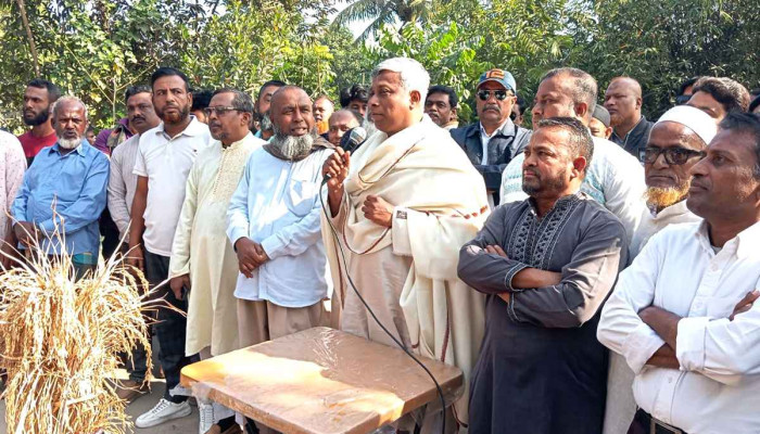 বিএনপি জিতলে তা হবে জনগণের বিজয়—যশোরে প্রার্থী অনিন্দ্য ইসলাম অমিত