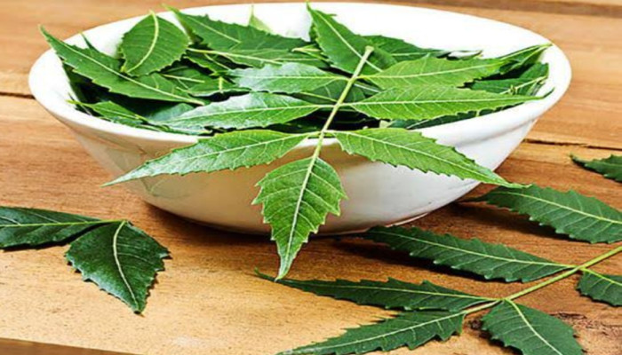 নিমপাতার উপকারিতা: জেনে নিন কীভাবে কাজে দেয়?