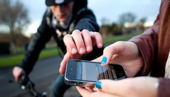 শহীদ মিনারে ভিড়ের মধ্যে মোবাইল চুরির অভিযোগ, উদ্ধারে কাজ করছে পুলিশ