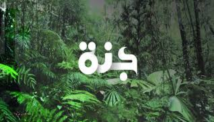 ‘রাইয়্যান’ : জান্নাতে রোজাদারদের জন্য বিশেষ সম্মান?