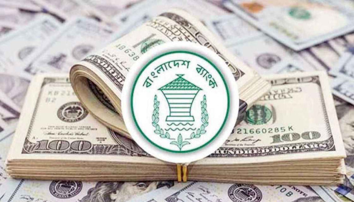 বৈদেশিক মুদ্রার রিজার্ভ ৩৫.৩১ বিলিয়ন ডলার ছাড়াল: বাংলাদেশ ব্যাংক