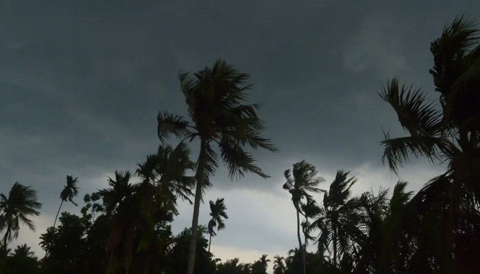 মার্চে বাড়বে তাপমাত্রা, ১-২ দফা তাপপ্রবাহ ও কালবৈশাখীর আভাস