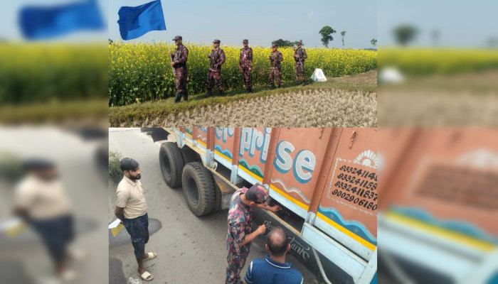 জ্বালানি তেল পাচার ঠেকাতে বেনাপোল সীমান্তে বিজিবির কড়া নজরদারি