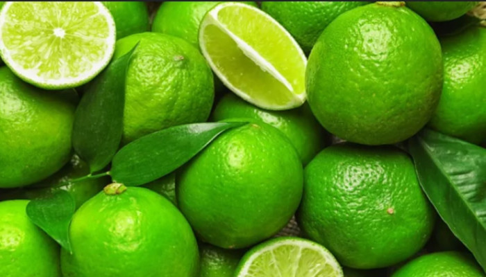 ইফতারে লেবুর শরবত খাওয়ার উপকারিতা:  ক্লান্তি দূর করে শরীর রাখে সতেজ