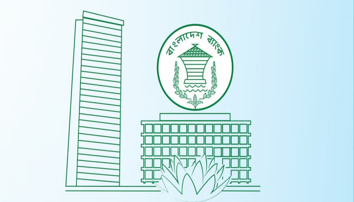 ৪ বেসরকারি ব্যাংকে কেন্দ্রীয় ব্যাংকের কঠোর নজরদারি: অস্থিরতা কাটাতে নতুন পর্যবেক্ষক নিয়োগ