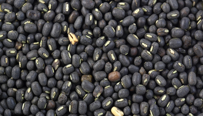 মাসকলাইয়ের ডালের উপকারিতা: পুষ্টিগুণে ভরপুর এই ডাল কেন খাবেন