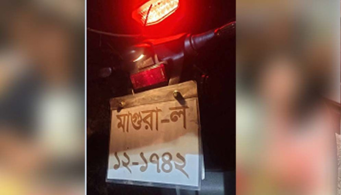 মাগুরায় ঝোড়ো বাতাসে গাছের ডাল ভেঙে দুই যুবকের মৃত্যু