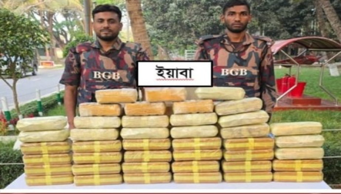 টেকনাফ সীমান্তে প্রায় ১২ কোটি ৬০ লাখ টাকার মাদক জব্দ