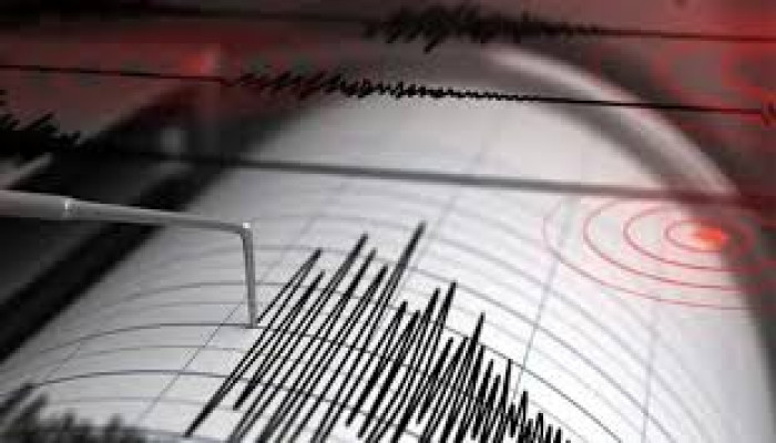 ইন্দোনেশিয়ায় ৭.৪ মাত্রার ভূমিকম্প, নিহত ১; জারি হয়েছিল সুনামি সতর্কতা