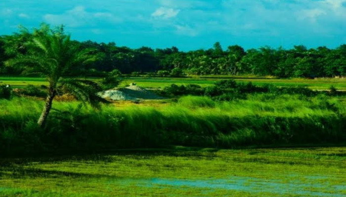প্রকৃতি উপভোগ মনকে ভালো রাখে : মানসিক প্রশান্তির সহজ উপায়