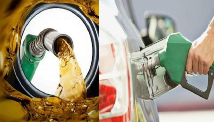 জ্বালানি সাশ্রয়ে মাঠ পর্যায়ের সভা এখন ভার্চুয়ালে: মন্ত্রিপরিষদ বিভাগের নির্দেশনা