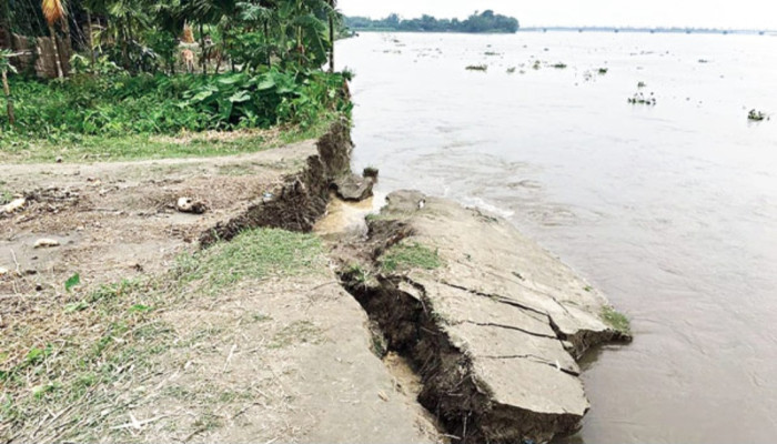 নদীভাঙন প্রতিরোধের উপায়: টেকসই সমাধান ও কার্যকর উদ্যোগ