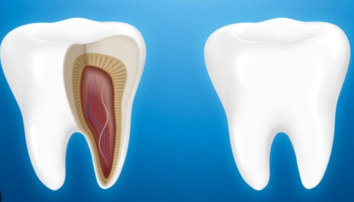 দাঁতের যত্নের গুরুত্ব ও সুস্থ জীবনে এর ভূমিকা
