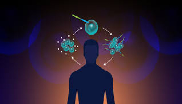 ক্যানসার চিকিৎসায় নতুন বিপ্লব: অস্ত্রোপচার ছাড়াই মিলছে মুক্তি!