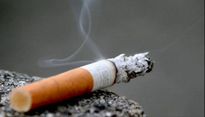 ধূমপানের ক্ষতি: কেন এখনই ছাড়বেন এই মারাত্মক অভ্যাস