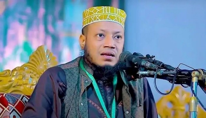 'কুচক্রী মহল পথ আটকাচ্ছে' — ফেসবুকে অভিযোগ এমপি আমির হামজার